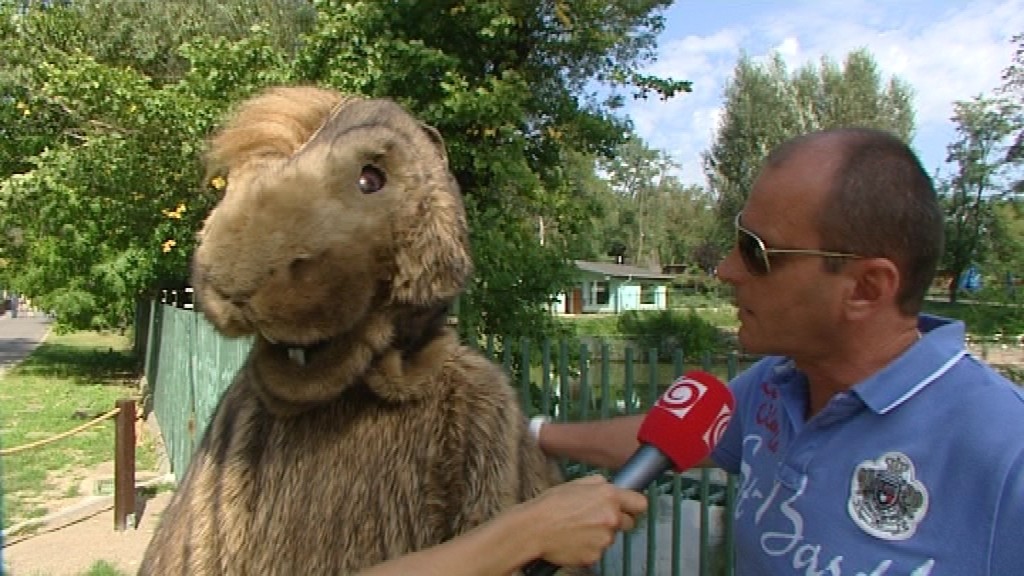 Svišť s Huljakom_bratislavská zoo